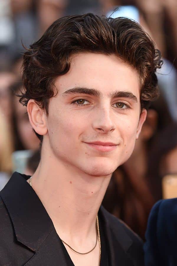 Timothee Chalamet’s Mid-Length Side Part #longhairmen #celebrity #wavyhairmen #timotheechalamet