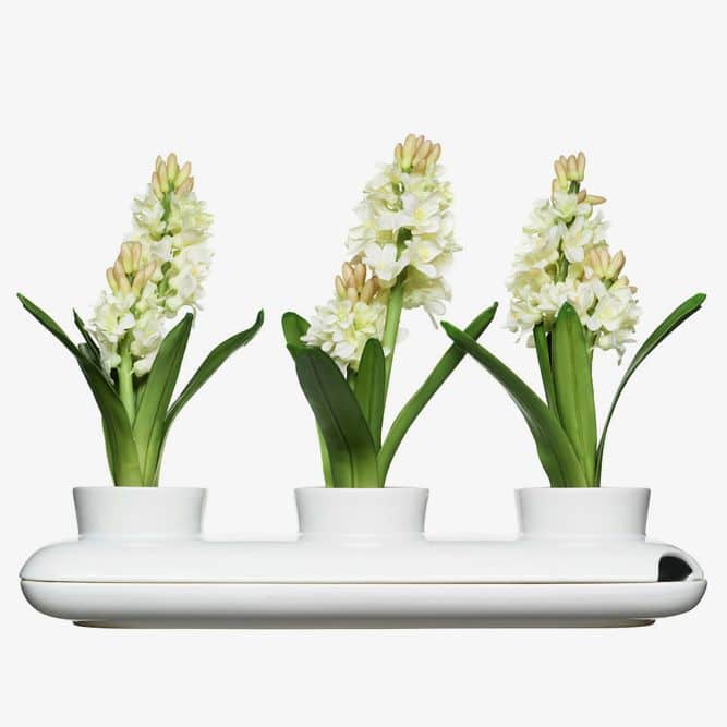 Trio Herb Pot White #birthdaygifts