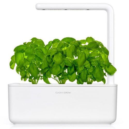 Click & Grow Smart Garden 3 #valentinesdaygifts #valentinesdaygift #giftforher