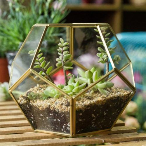 Faceted Terrariums #christmasgifts #giftsforher #christmaspresent