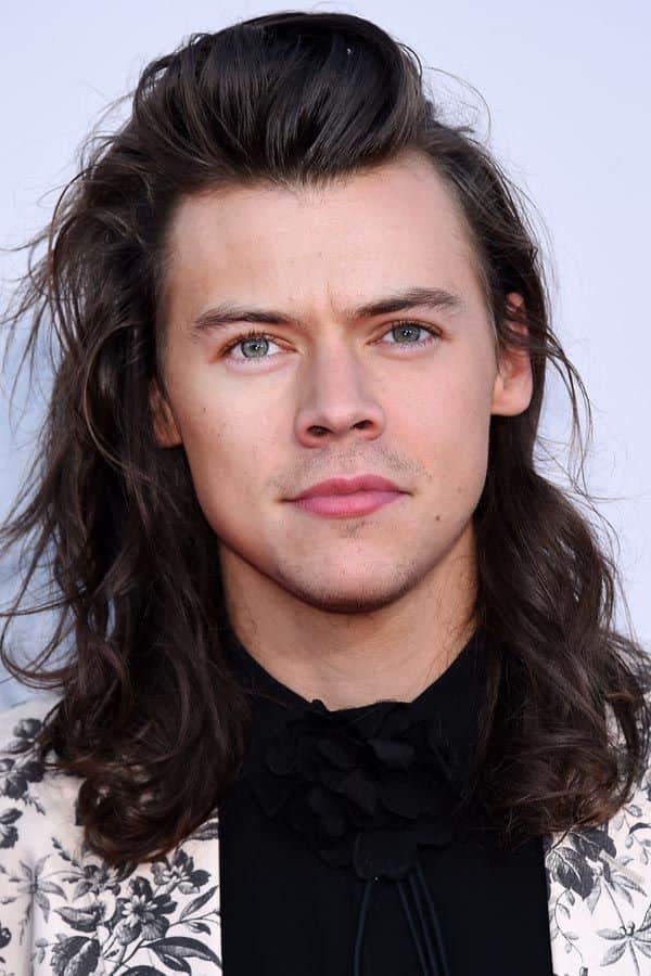 Harry Styles Is Bringin' Back The Big Hair Clip Y'ALLLLL!!!!