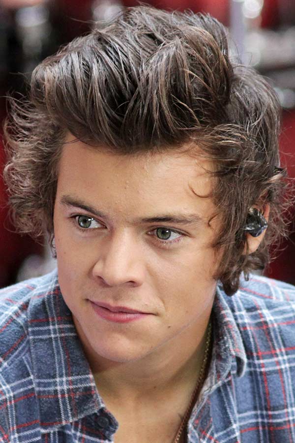 Top 100 image long hair harry styles  Thptnganamsteduvn