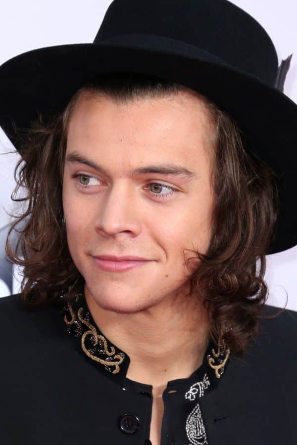 Shoulder Length Harry Styles Haircut #shoulderlengthhair #longhairmen #harrystyles