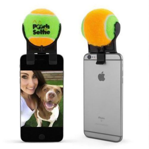 The Original Dog Selfie Stick #lastminutegiftideas #giftideas #gifts