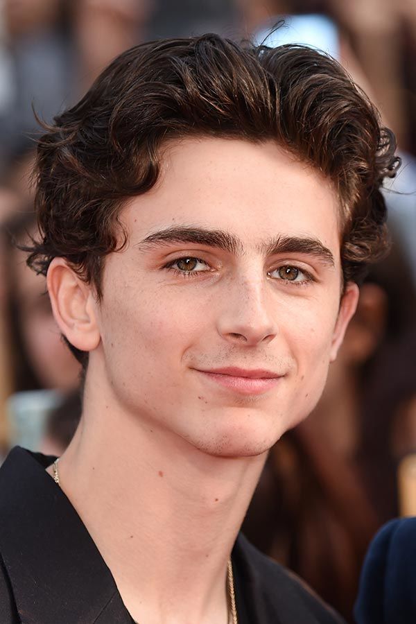 Timothee Chalamet’s Brushed Up And Back Waves #surferhair #longhairmen #menshairstyles #beachwaves