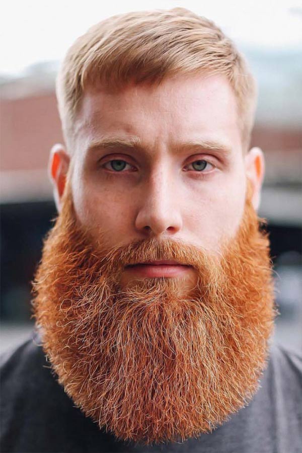 Red Full Beard #redhair #redhairmen