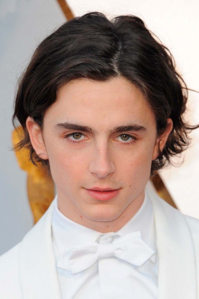 Timothée Chalamet Eboy Haircut #eboyhaircut #eboyhair #curtainshair #curtainshairstyles #middlepartmen