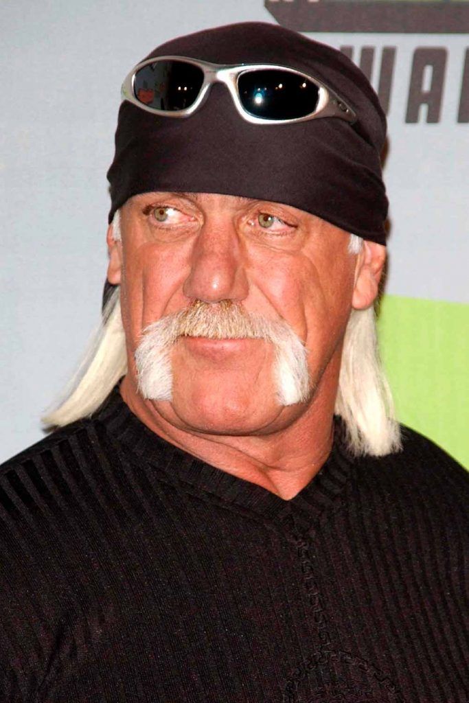 Hulk hogan discount mustache face