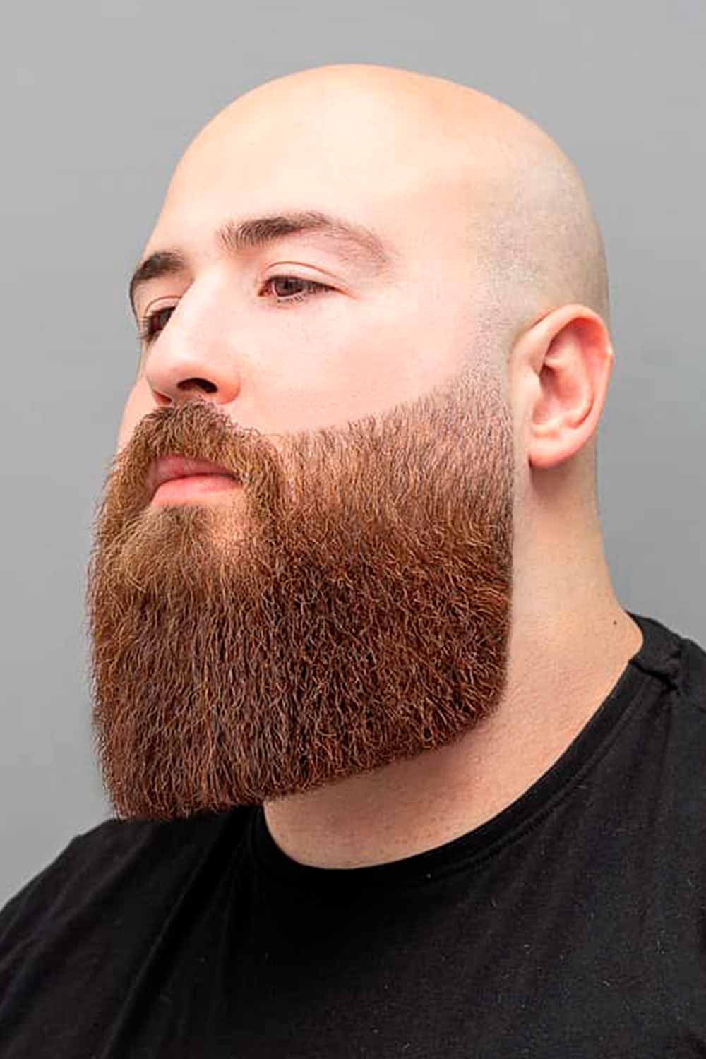 Top Beard Styles You Need To Try In 23 Mens Haircuts