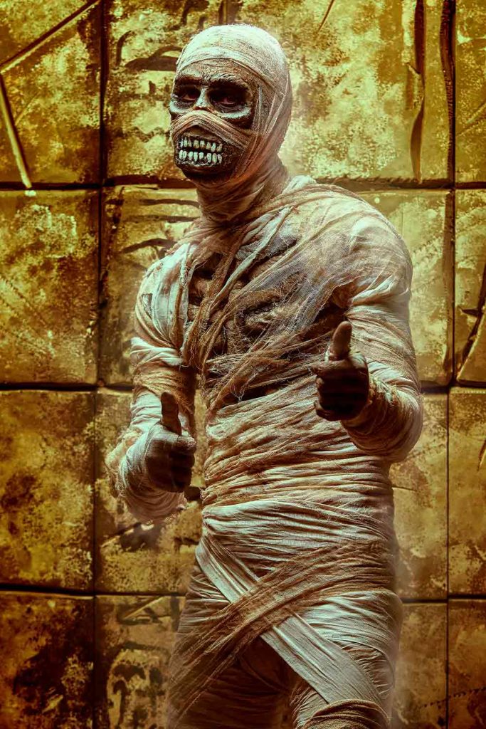 Mummy #halloweencostumes #halloweencostumeideas #menshalloweencostumes #halloweencostumesformen