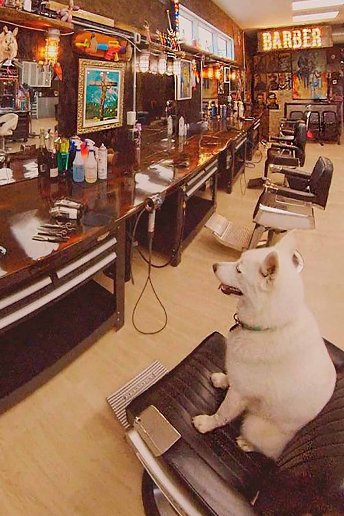 15 Top Barber Shops In Edmonton Mens Haircuts