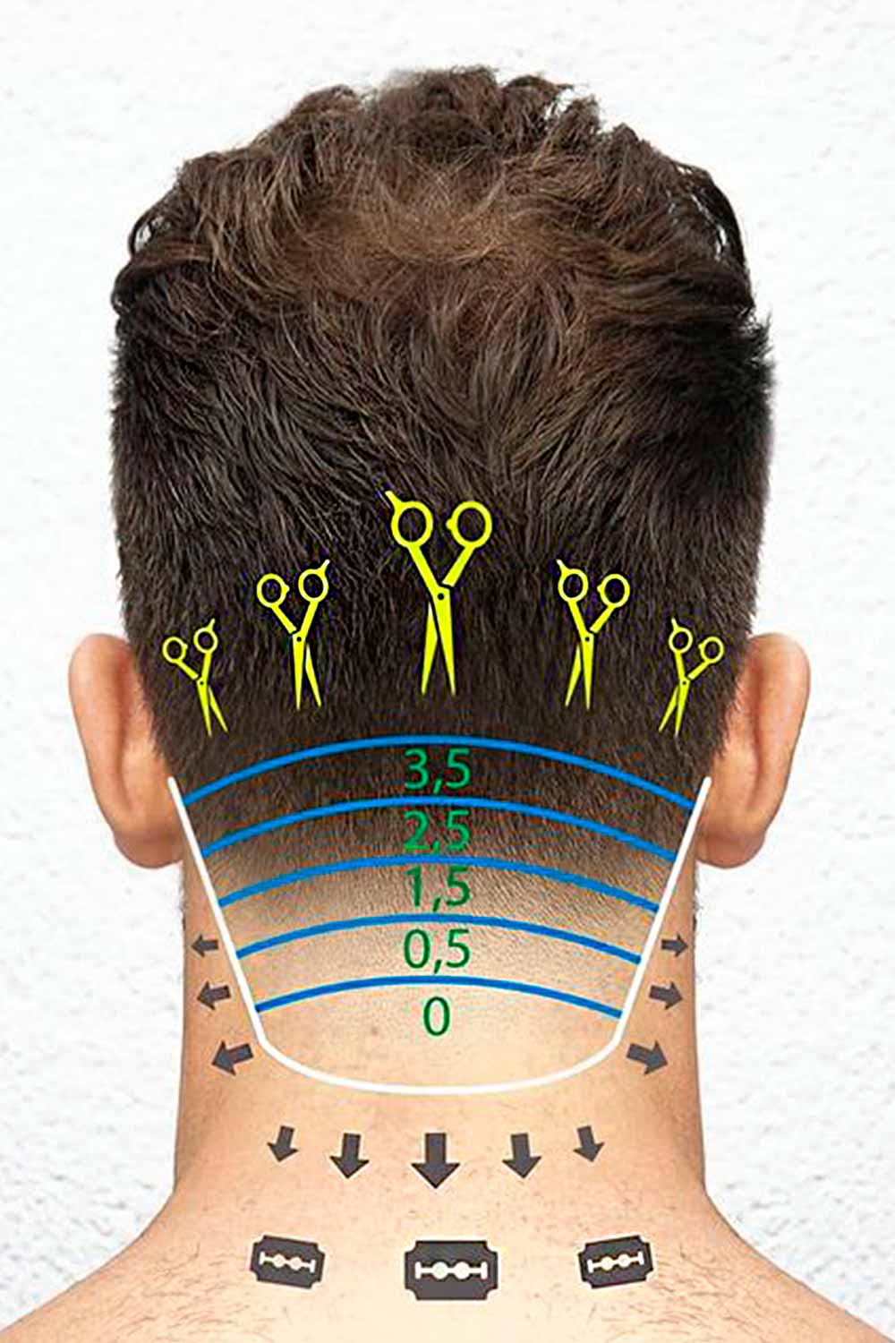 Every Haircut Numbers  Clipper Sizes  Visual Examples