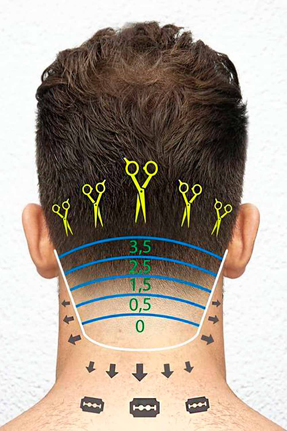 What Are Haircut Numbers And How To Convert Them Into Haircut Lengths 