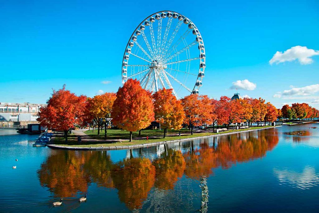 15 Best Barber Shops In Montreal Mens Haircuts