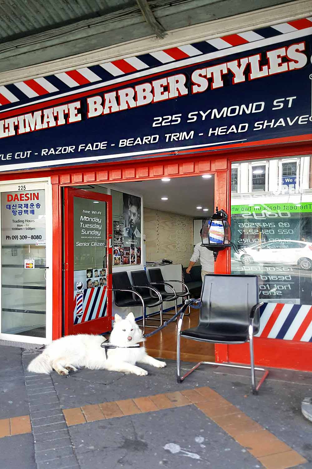 Ultimate Barber Styles 2