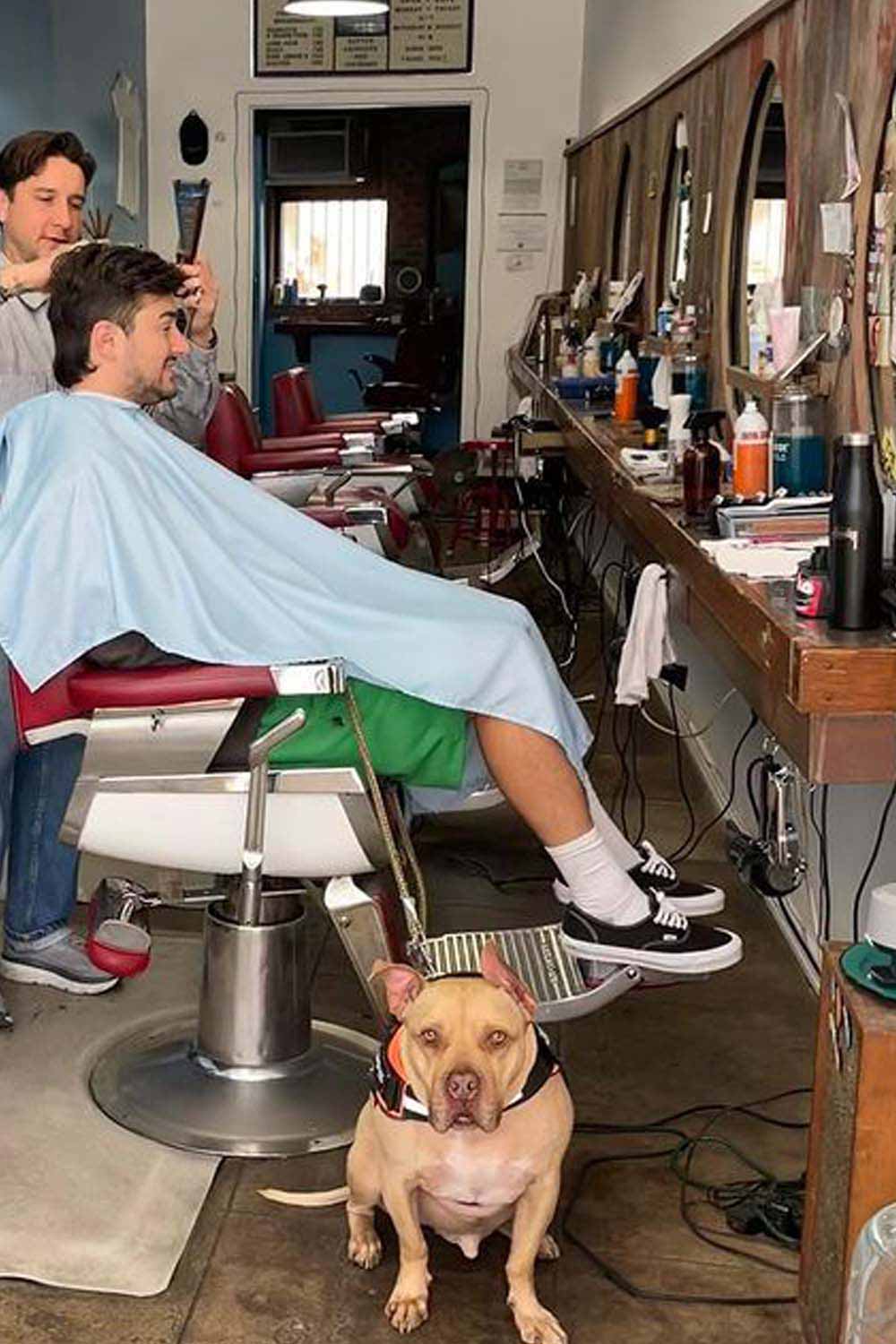 The New California Barbershop 1