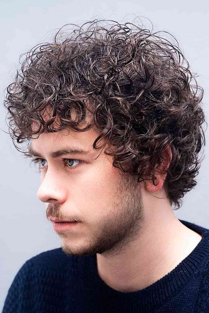 Curly Jewfro Male Hairstyles