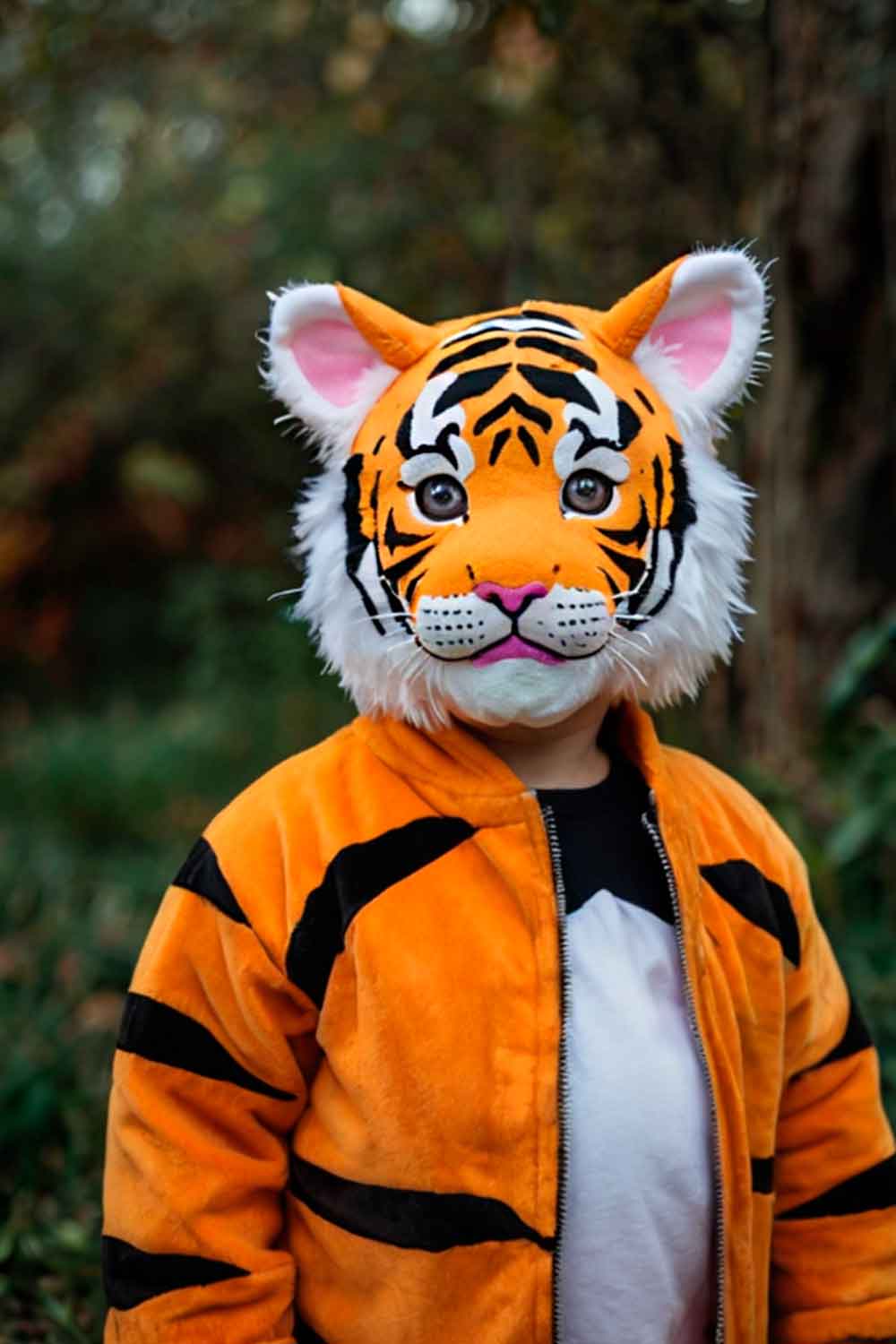 Tiger Boys Costume #boyshalloweencostumeideas #halloweencostumeideasforboys #boyshalloweencostumes